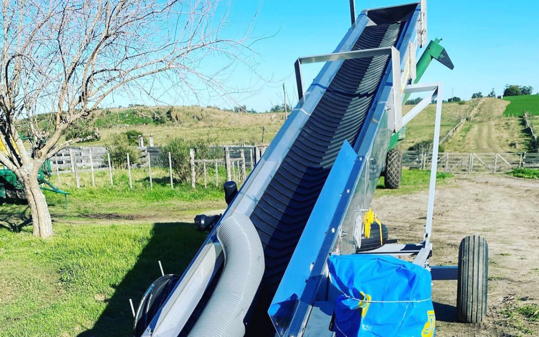 Terminamos el sábado con entrega de cinta elevadora de granos 8mts