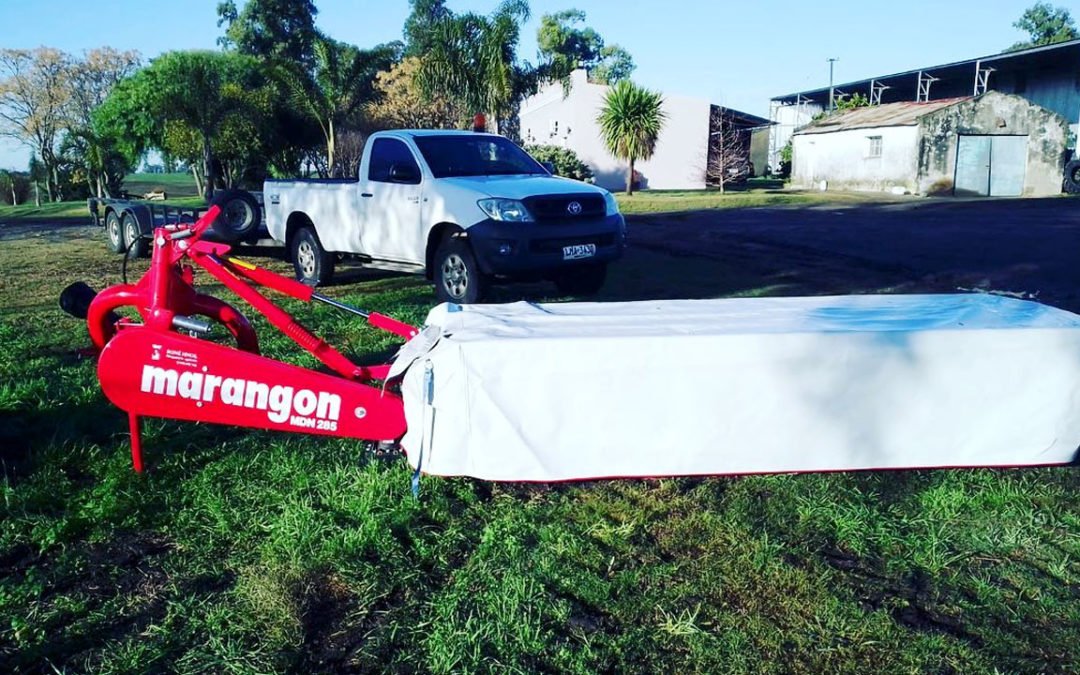 Segunda Marangon que entregamos en este establecimiento! ??