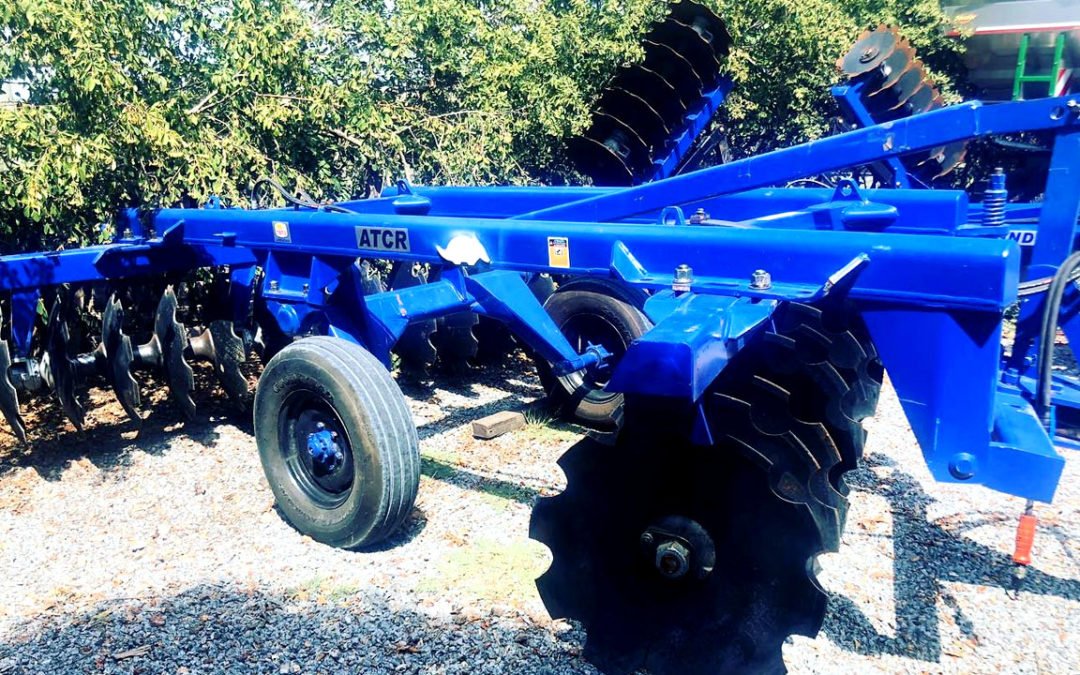 Más excéntricas tatu al campo