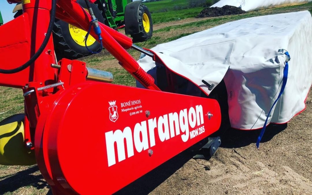 Marangon… más de ellas‼️