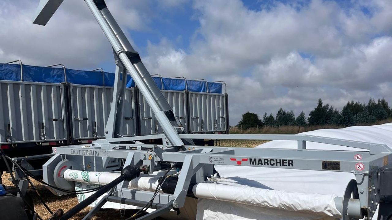 Nueva entrega en la zona