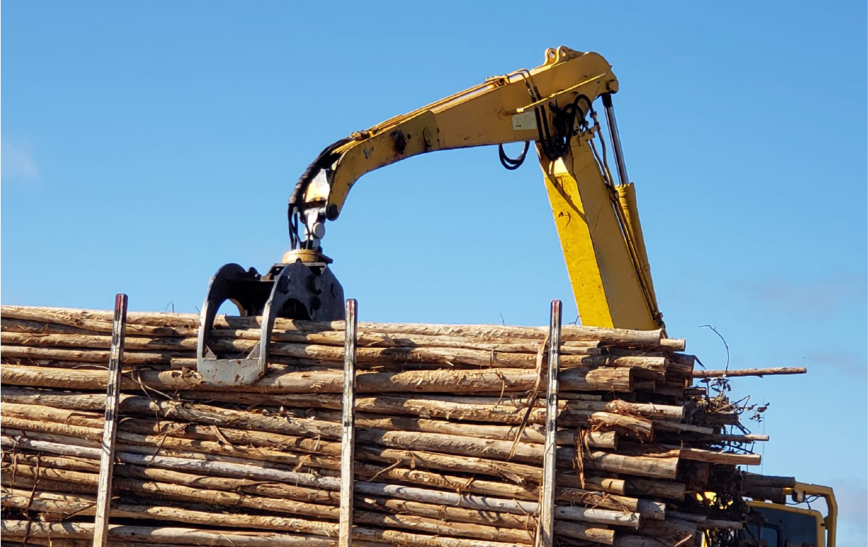forestal